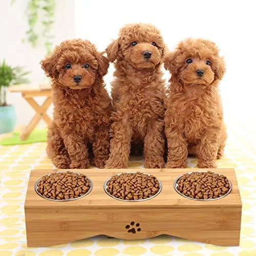 Cat Bowls, Pet Bowl Small Dog and Cat Bowls Stainless Steel Three Bowls Pet Feeder Pet Food Bowl for Cats