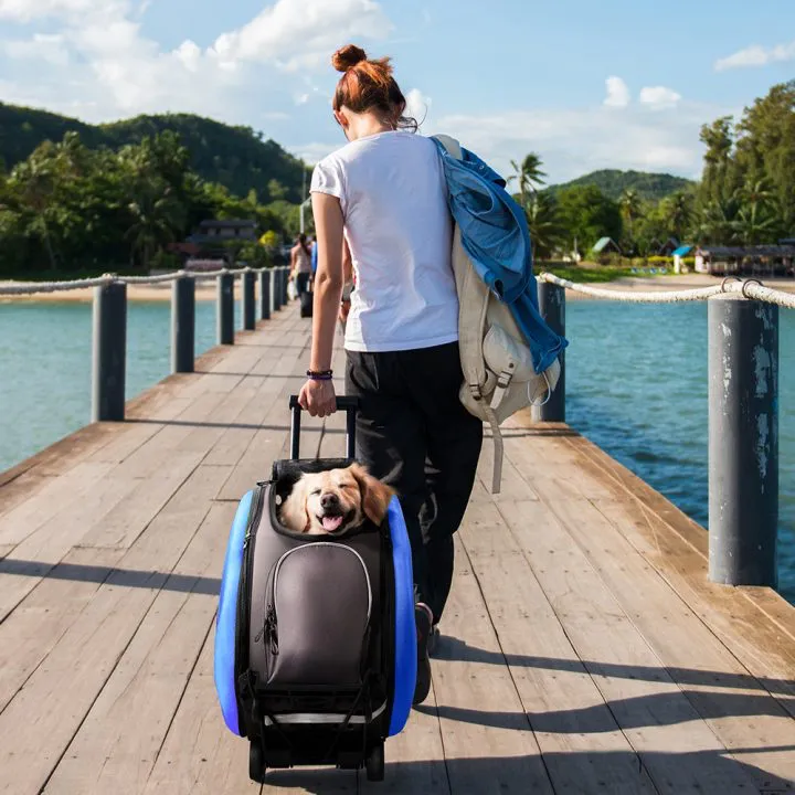 Ibiyaya Eva Convertible Pet Stroller For Cats & Dogs