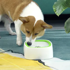 Large Portable Spill Proof Dog Water Fountain Bowl