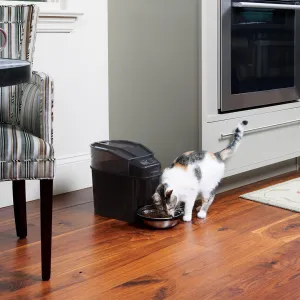 Pet Safe - Healthy Pet Simply Feed