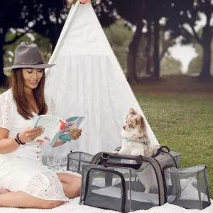 Petique, Happy Camper Dog Carrier [Tote/Shoulder Strap/Roller Bag]