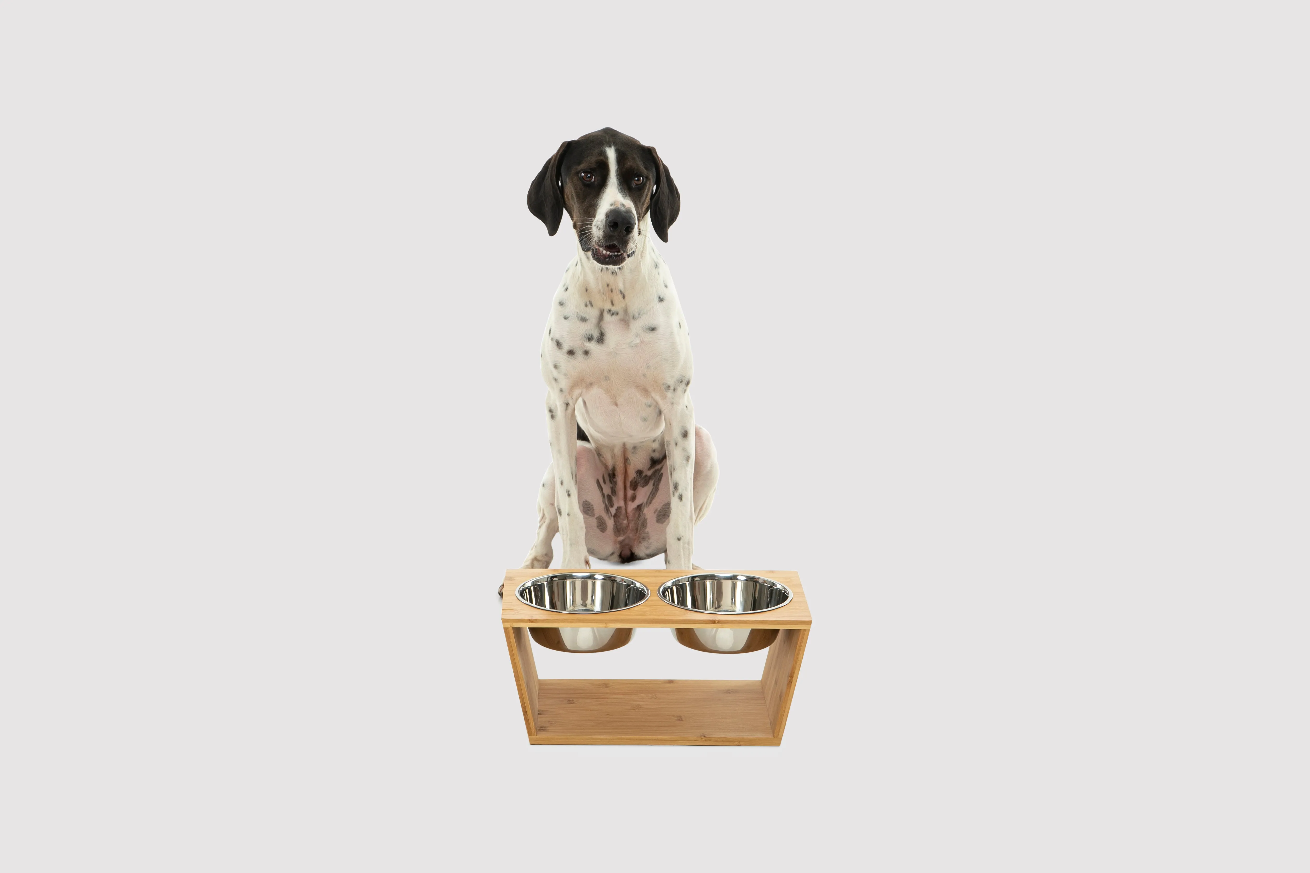 Raised Bamboo Feeder with Dual steel bowls