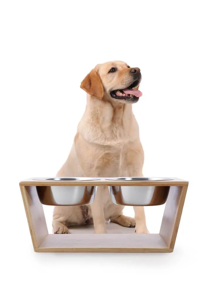 Raised Bamboo Feeder with Dual steel bowls
