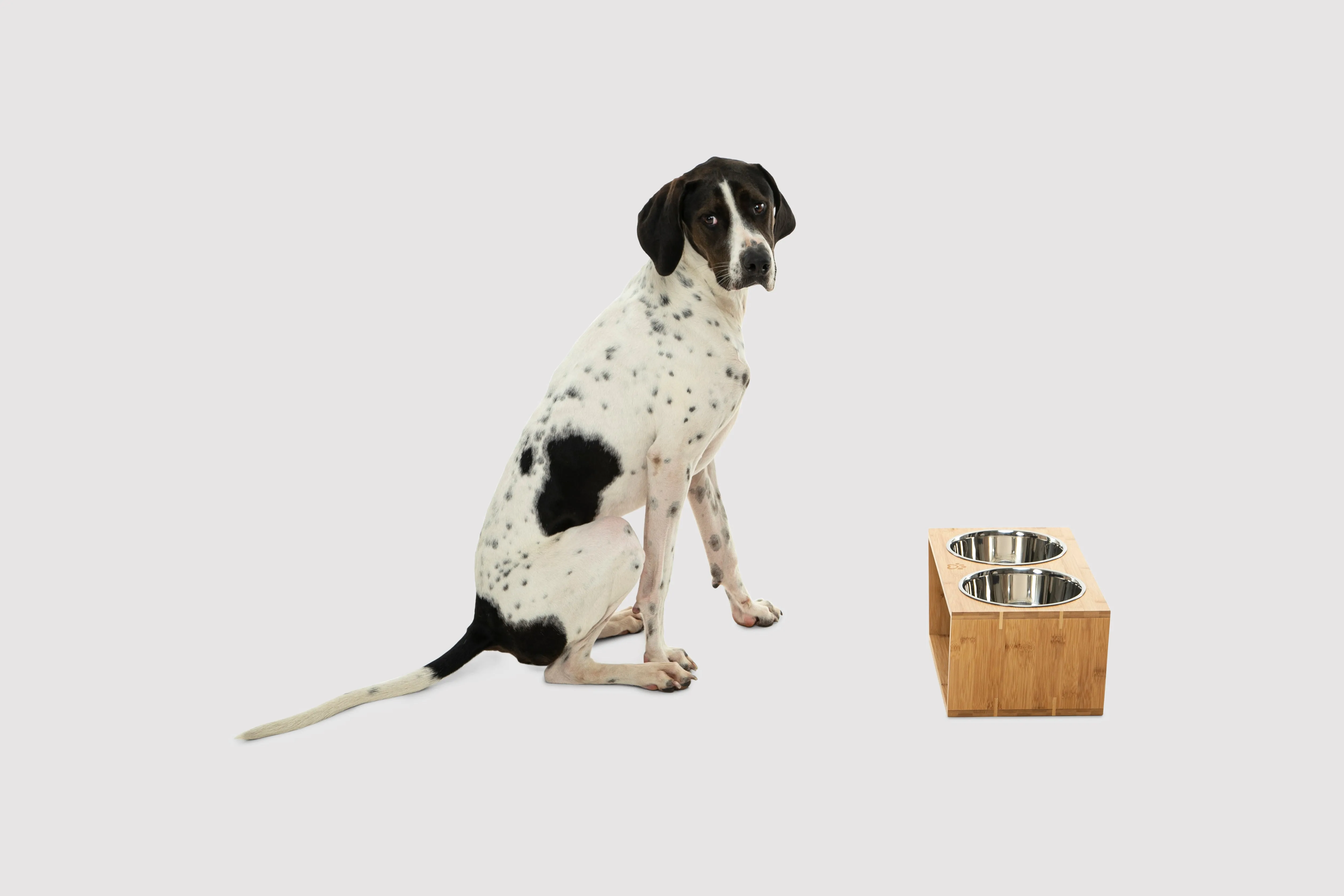 Raised Bamboo Feeder with Dual steel bowls